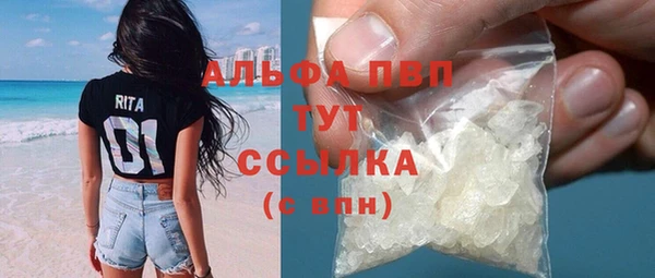 гидра Белокуриха