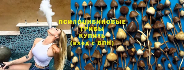 гидра Белокуриха