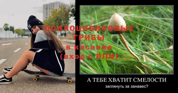 гидра Белокуриха