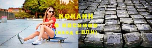 гидра Белокуриха