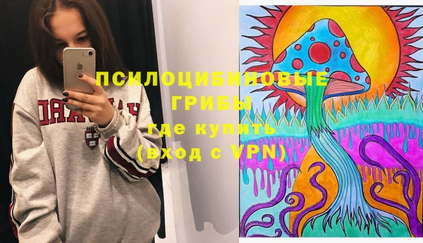 гидра Белокуриха