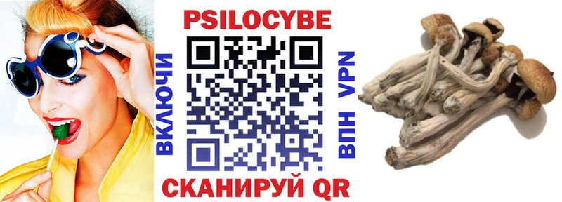 Псилоцибиновые грибы прущие грибы  купить наркотики сайты  Онега 